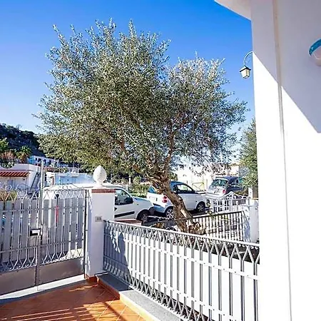 Casa Restituta Lacco Ameno (Isola d'Ischia)